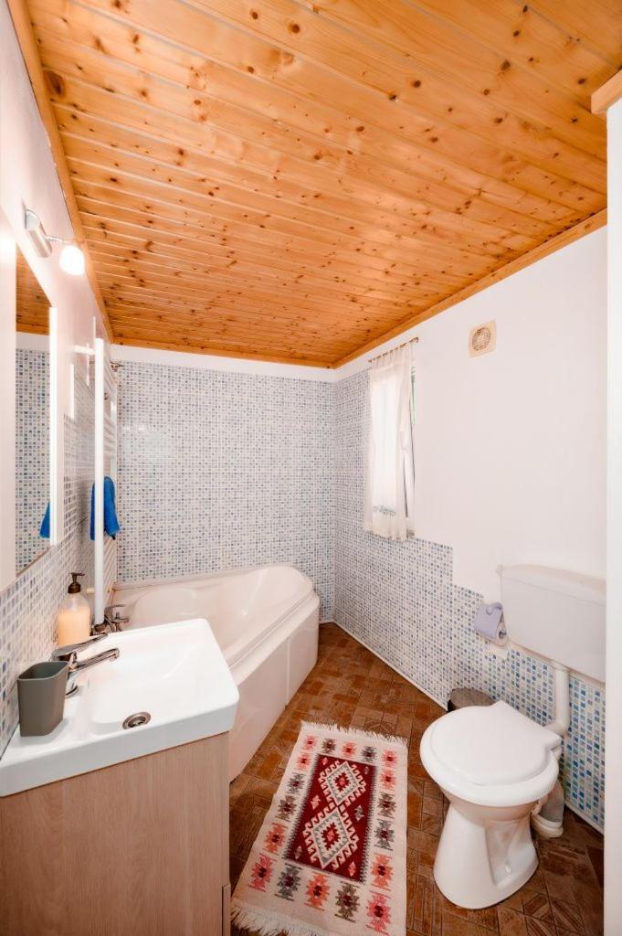 Cabana Mariuca Fundata Exteriér fotografie